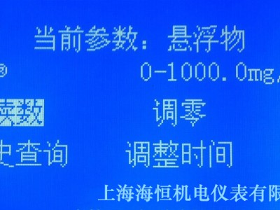 SS-2A 全中文（0-1000ppm）图3