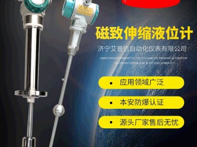 艾普信螺纹连接304材质磁致伸缩液位计APX901图2