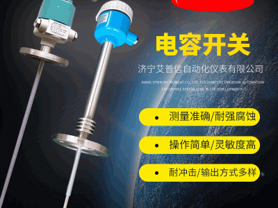 艾普信长度500mm,DN32电容物位开关APX601图1