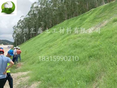 排水板 屋顶绿化用蓄排水板图1