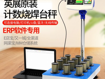 TCS-C(XSB)工业级计数电子台秤图2