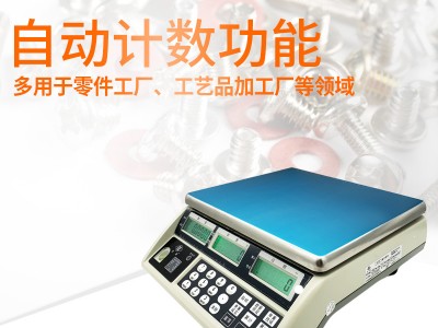 ACS-C(Z2)高精度计数电子秤图3